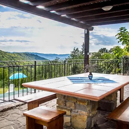 Viera For 12 People In Istria With Private Pool & Pet Friendly Villa