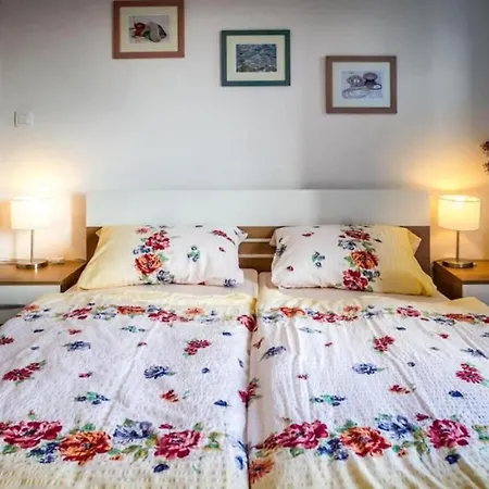 Villa Viera For 12 People In Istria With Private Pool & Pet Friendly *