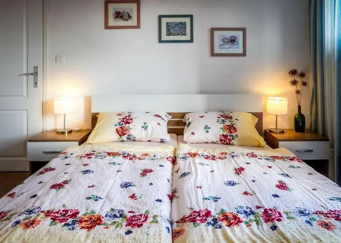 Villa Viera For 12 People In Istria With Private Pool & Pet Friendly *